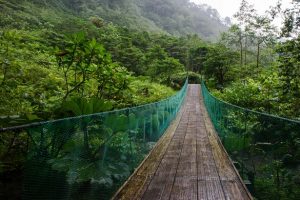 kostaryka-wycieczka-wiszacy-most-arenal-soul-travel