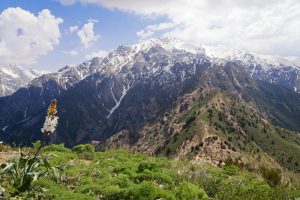 uzbekistan-trekking-wyprawa-chimgan-soul-travel