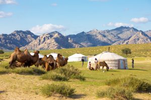 wycieczka-mongolia-jurty-mongolskie-pasterze-wielbladow-soul-travel