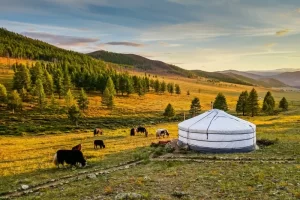 wycieczka-mongolia-nocowanie-w-jurcie-wyrusz-w-zyciowa-podroz-soul-travel