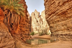 sahara-wyprawa-algieria-guelta-jeziorko-w-oazie-soul-travel