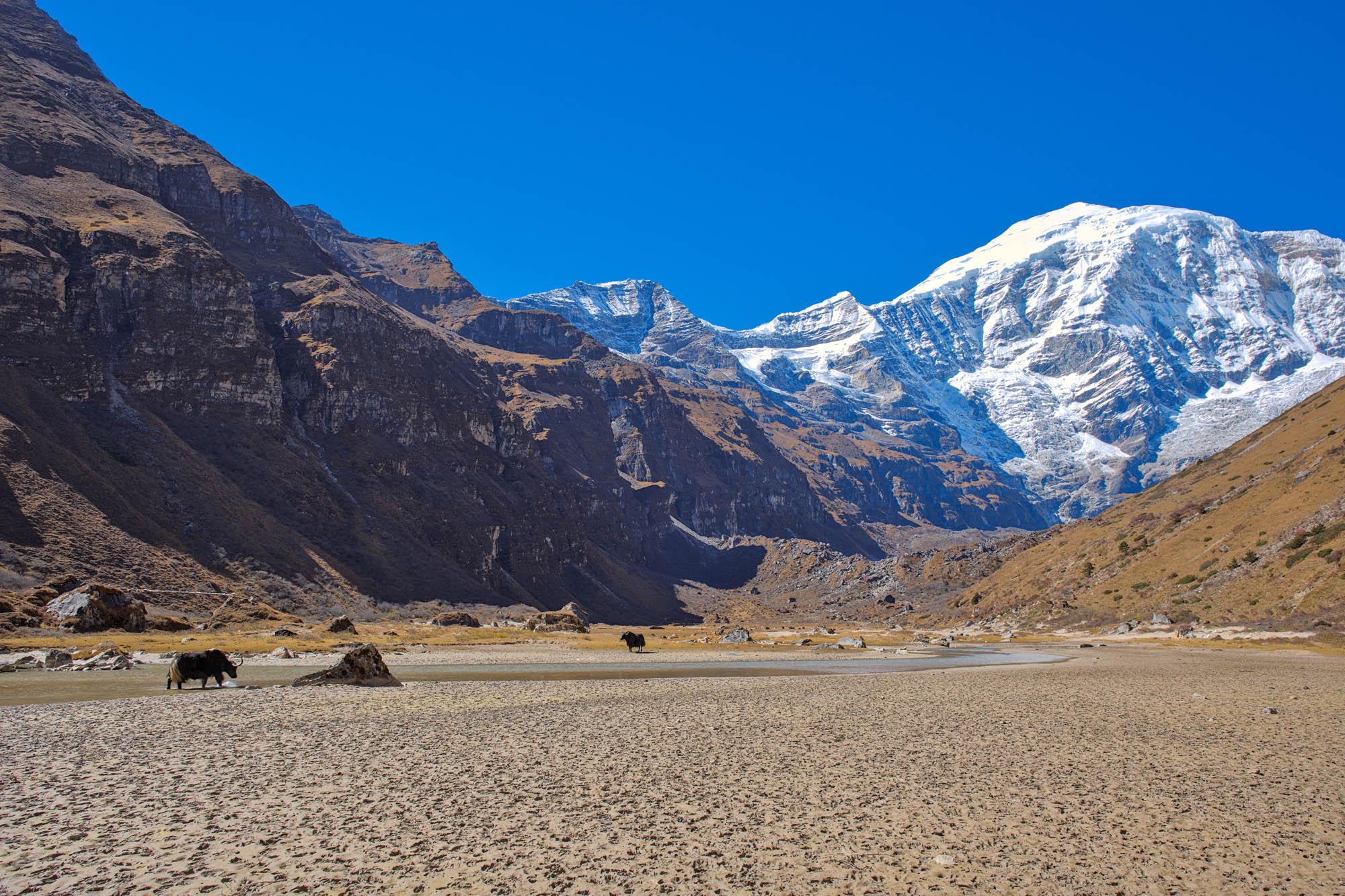 jomolhari trek w himalajach bhutanu z soul travel