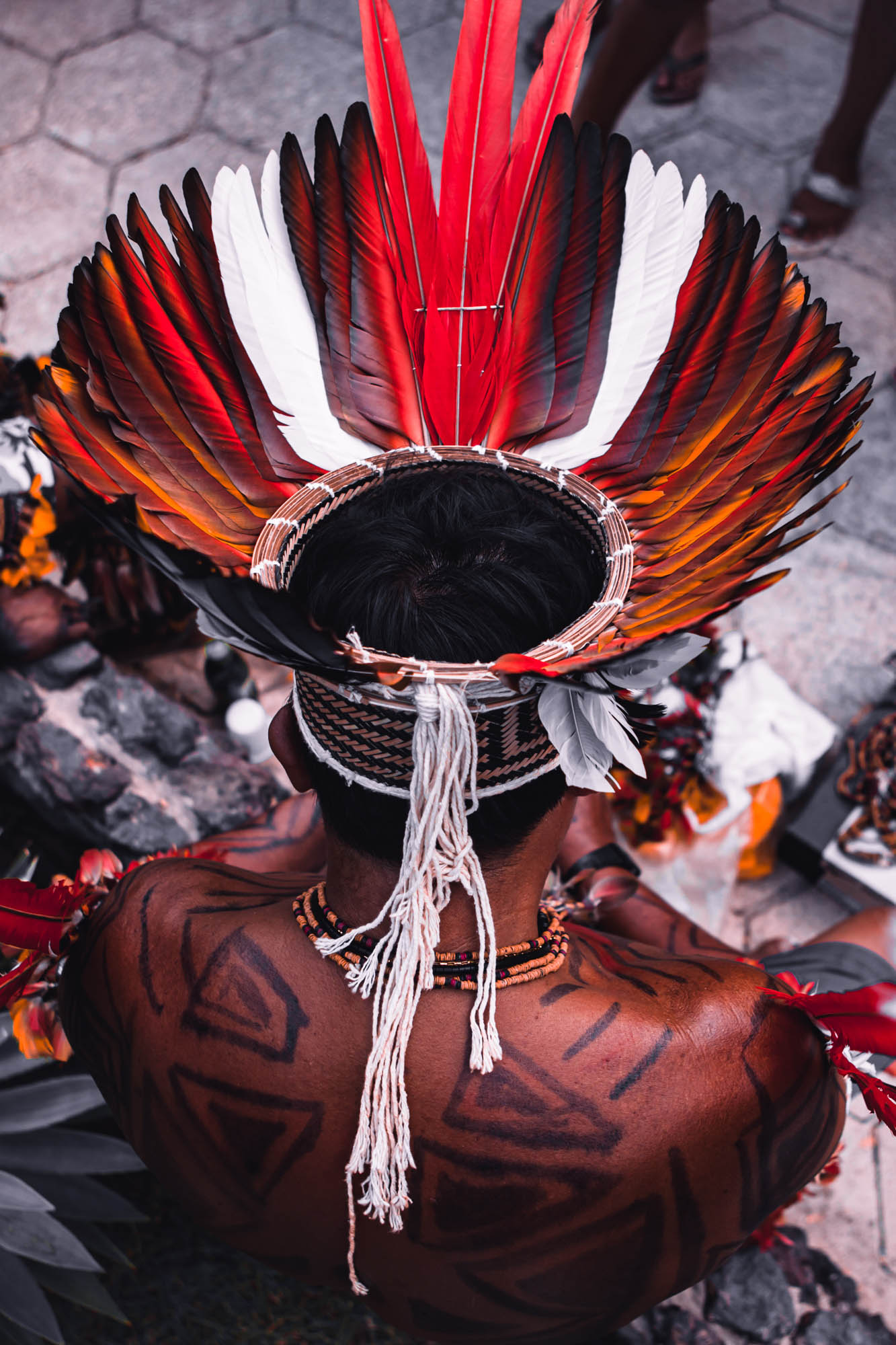 Wycieczka do Brazylii z Soul Travel. Wczasy w Amazonii