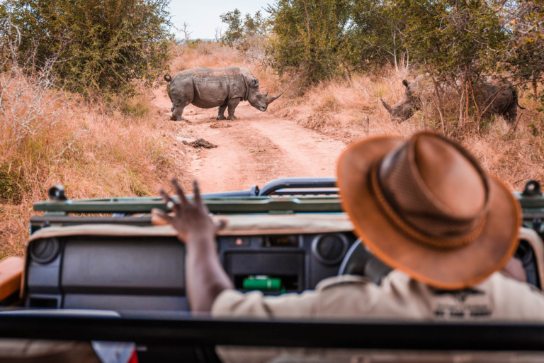 Safari guide in jeep with calming sign looking at rhinos in the