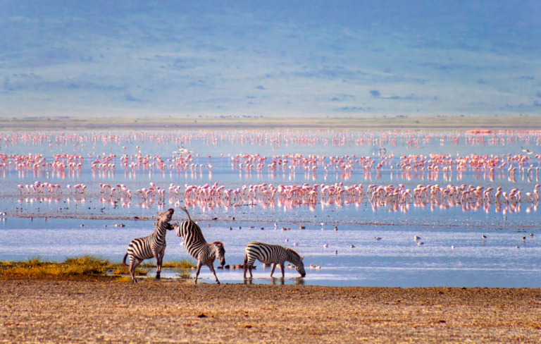 ngorongoro_tanzania_pz