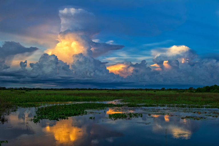 brazylia_pantanal_wschodslonca